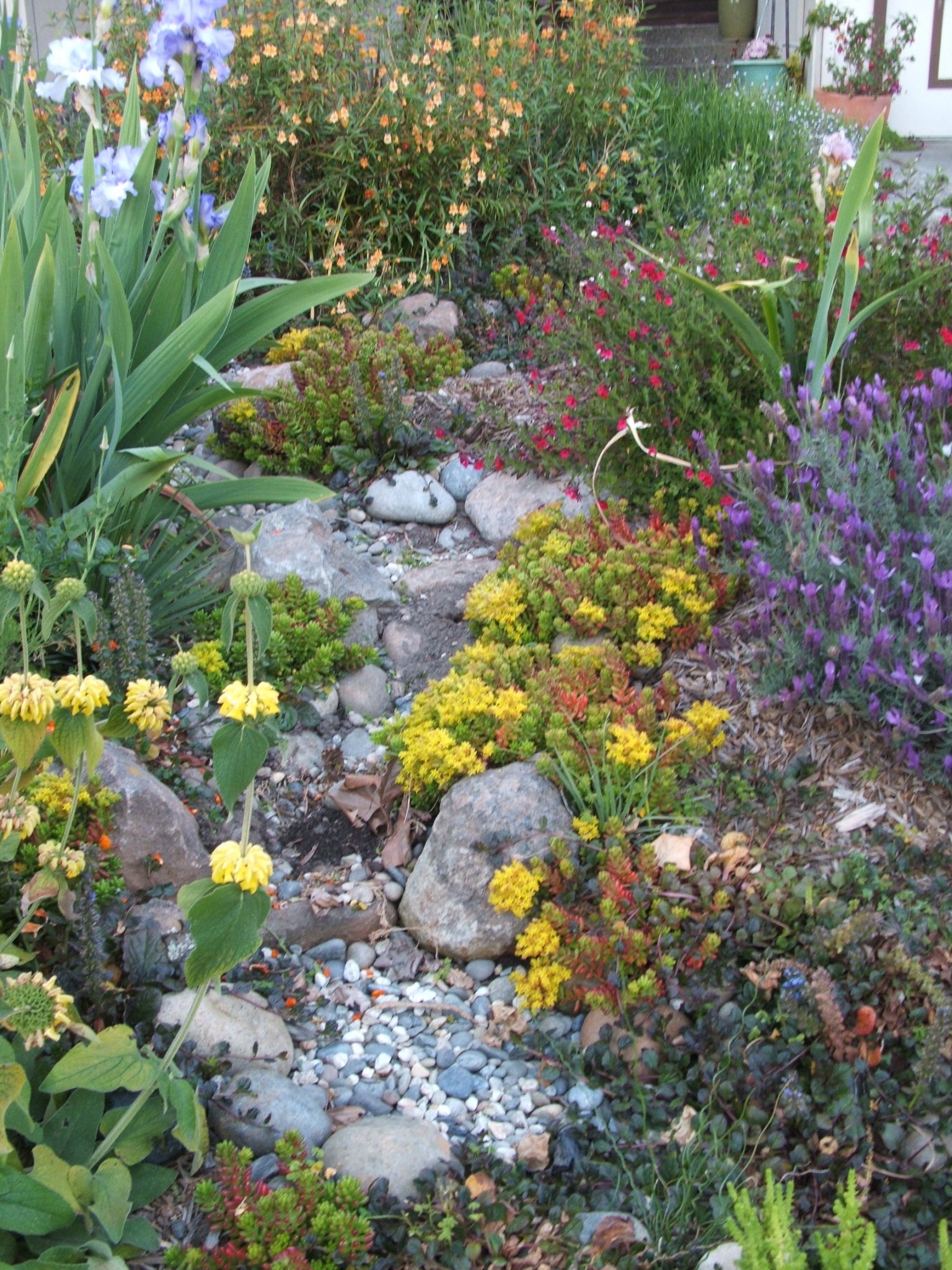 Rain Gardens | Monterey Bay Friendly Landscaping