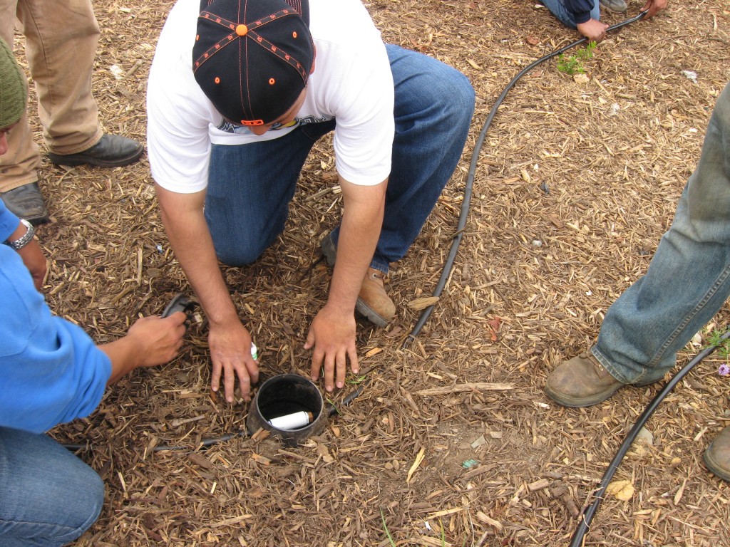 Hire a Green Gardener Monterey Bay Friendly Landscaping