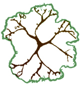 tree symbol