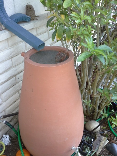 Front-water-urn-640×480