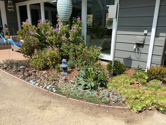 Monterey Bay Friendly Landscaping, Ground Cover Landscaping San Francisco California